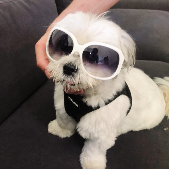 SOLD Y2K Juicy Couture white sunglasses SG - Picture 6 of 6